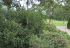 Rythdaleresidential-landscaping-35.jpg; ?>